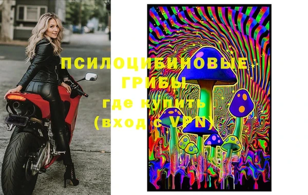 бошки Аркадак